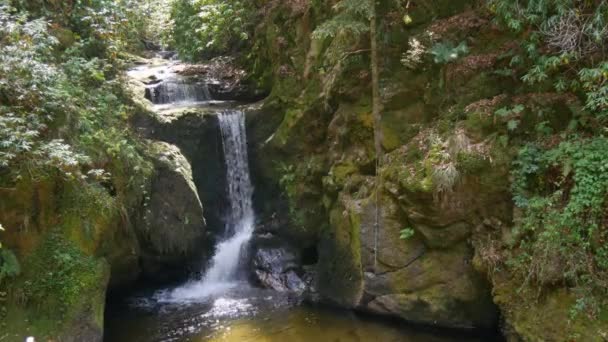 Air Terjun Dan Sungai Segar Pegunungan Yang Bersih Dengan Air — Stok Video