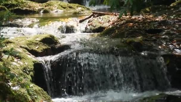 Clean Mountain Fresh Stream Running Clear Water Surrounded Boulders Stones — Stok video