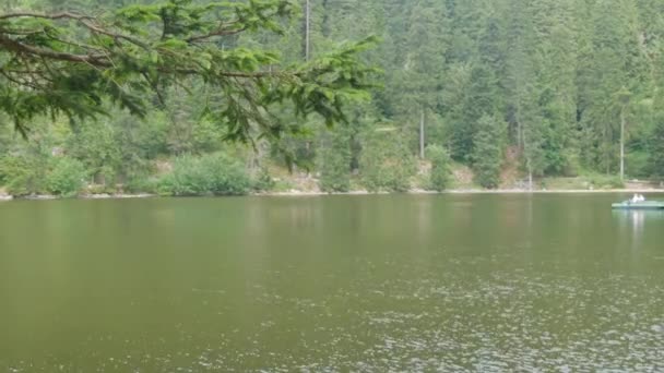 Mummelsee Niemcy Lipca 2022 Widok Jezioro Brzeg Lesie Czarnego Lasu — Wideo stockowe