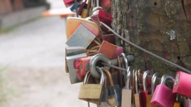 Mummelsee, Germany - July 23, 2022: A variety of iron door locks on a tree, as a symbol of the eternal love of lovers. Traditions of couples in love.