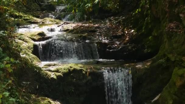 Clean Mountain Fresh Stream Running Clear Water Surrounded Boulders Stones — Video