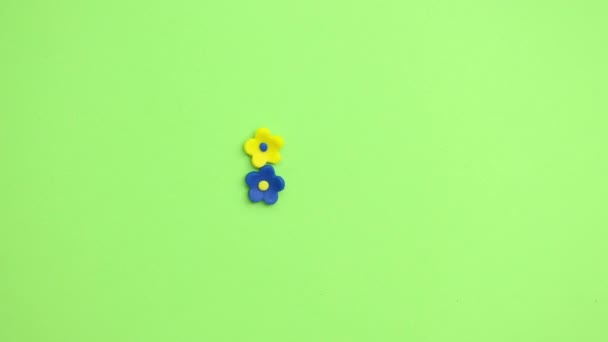 停止运动动画 在绿色背景上的塑料西瓜片 以及蓝色和黄色的粘土花 — 图库视频影像