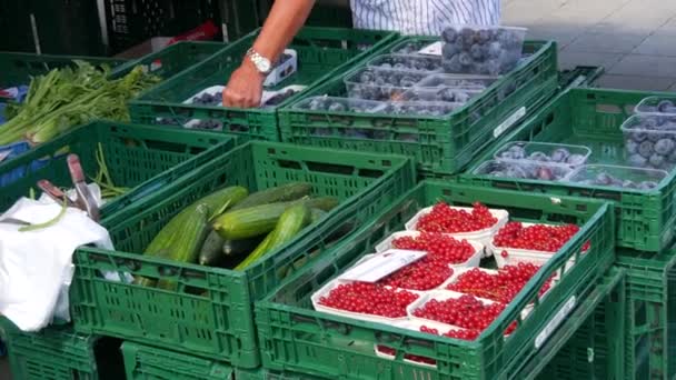 Kehl Duitsland Juli 2022 Het Zomermarktplein Zomer Oogst Planken Komkommers — Stockvideo