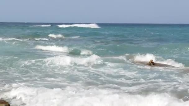 Tormenta Mar Hermosas Olas Fuertes Con Espuma Durante Una Tormenta — Vídeo de stock
