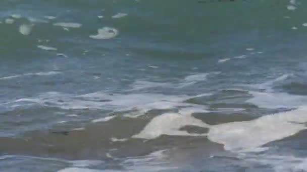 海上的风暴 克里特海夏季风暴中美丽而强烈的泡沫巨浪 — 图库视频影像