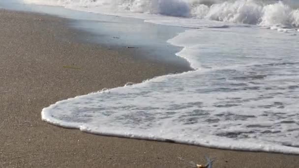 Съемки Воздуха Сказочного Морского Прилива Штормовой День Дрон Снимает Сёрфинг — стоковое видео