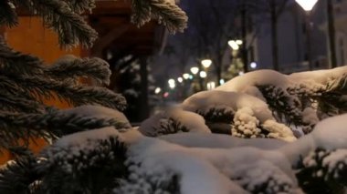 Bir kış akşamı ya da gece sokakta karla kaplı ladin dalları. Sokakları Noel aydınlatması. Görüntüyü kapat.