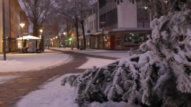 Sıcak, karanlık bir kış gecesi, bir Avrupa şehrinin caddesinde aydınlanma, karda sokak lambaları, yeşil bir Noel ağacının karla kaplı dalları. Karlı bir akşam.