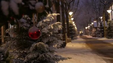 Sıcak, karanlık bir kış gecesi, bir Avrupa şehrinin caddesinde aydınlanma, karda sokak lambaları, yeşil bir Noel ağacının karla kaplı dalları. Karlı bir akşam.