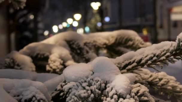 Met Sneeuw Bedekte Sparren Takken Straat Een Winteravond Nacht Kerstverlichting — Stockvideo