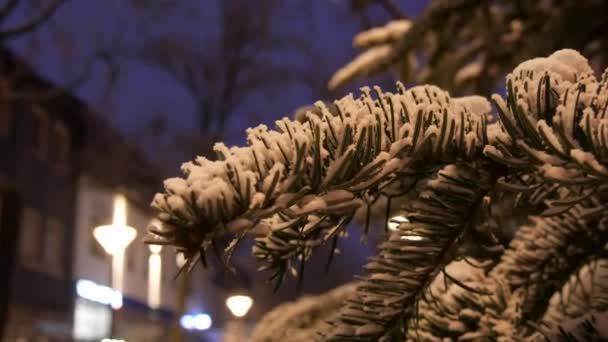 Ośnieżone Gałązki Świerku Ulicy Zimowy Wieczór Lub Nocy Bożonarodzeniowe Oświetlenie — Wideo stockowe