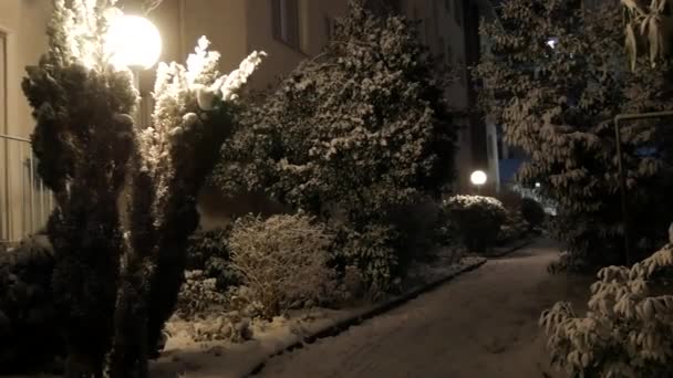 冬夜街灯圆圆的 挨着白雪覆盖的灌木丛 冬暖夏凉的夜晚 雪地覆盖着房子的庭院 — 图库视频影像