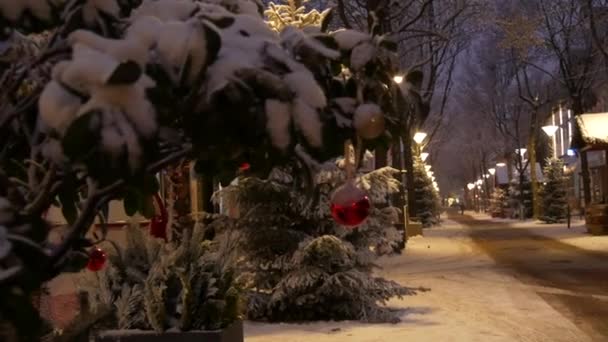 温暖的冬夜 一个欧洲城市街道上的灯光 雪地里的路灯 雪地覆盖着一棵绿树的枝条 多雪的夜晚 — 图库视频影像