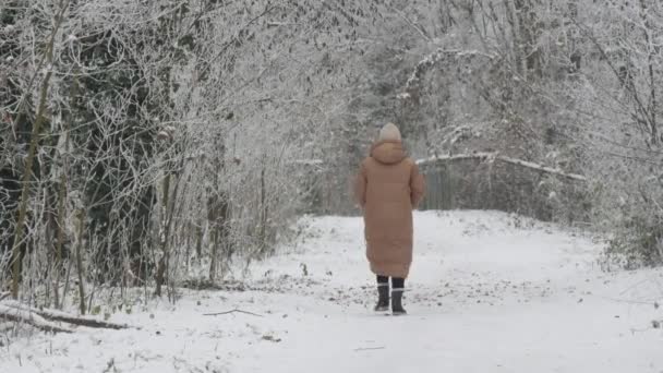 Een Vrouw Met Een Lange Jas Een Winterhoed Loopt Door — Stockvideo