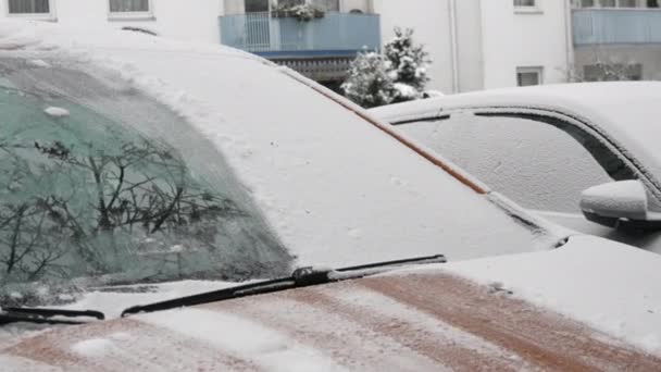 雪に覆われた車 特別なブラシを持つ男は車の表面をきれいにします — ストック動画