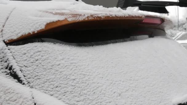 Buzla Kaplı Bir Araba Özel Bir Fırçası Olan Bir Adam — Stok video