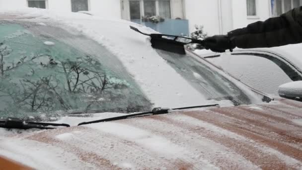 Zasněžené Auto Pokryté Ledem Muž Speciálním Kartáčem Čistí Povrch Auta — Stock video