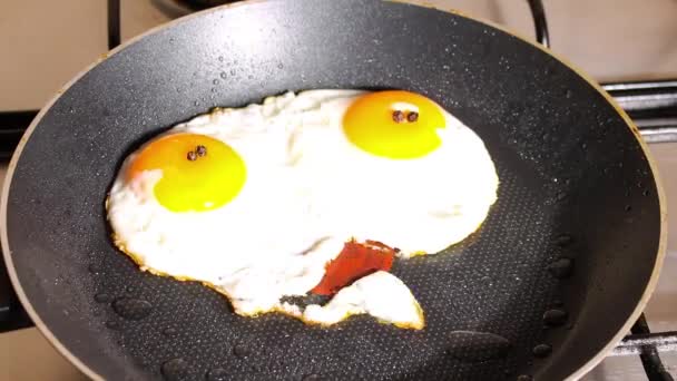 Stop Motion Animation Funny Scrambled Egg Talking Moving Its Mouth — ストック動画