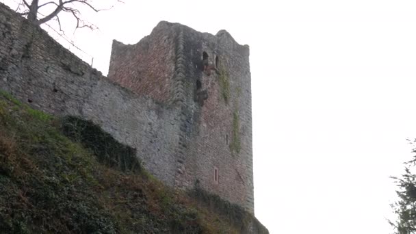 Partie Mur Vieux Château Médiéval Ruines Bâtiment Historique Allemagne — Video