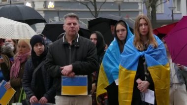Şubat 2023 - Kehl, Almanya: Ukrayna 'yı destekleyen barış mitingi, sarı mavi bayraklı ve pankartlı insanlar savaşa karşı protesto gösterisi.