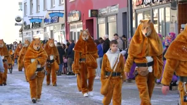 Février 2023 Kehl Allemagne Des Gens Costumes Carnaval Lors Procession — Video