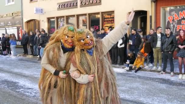 Febbraio 2023 Kehl Germania Processione Festiva Del Carnevale Rosenmontag Occasione — Video Stock