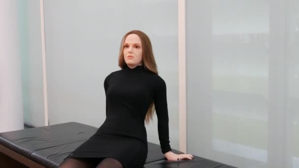 Baden Baden Alemania Febrero 2023 Mujer Androide Robot Spesking Con — Vídeo de stock