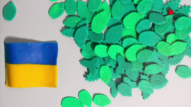 Пластицин Припиняє Рух Прапор Анімації Прикрашений Поряд Квітами Зеленим Листям — стокове відео