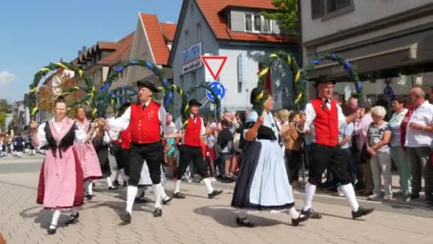 Buhl Duitsland September 2022 Feestelijke Parade Ter Ere Van Pruimenoogst — Stockvideo