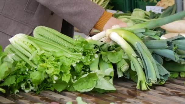 Mercado Livre Compradores Vendedores Fundo Vários Verdes Saladas Raízes Caules — Vídeo de Stock