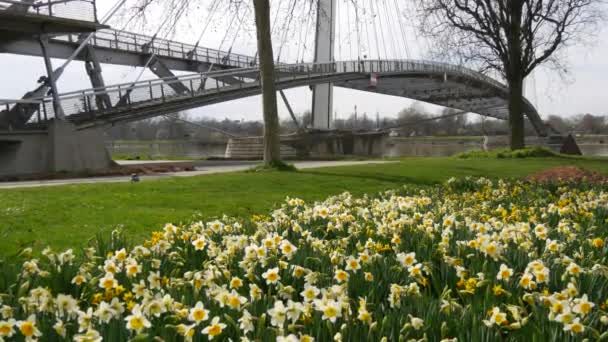 Kehl Almanya Mart 2023 Fransa Giden Köprünün Manzarası Harika Parkta — Stok video
