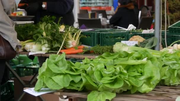 Mercado Livre Compradores Vendedores Fundo Vários Verdes Saladas Raízes Caules — Vídeo de Stock