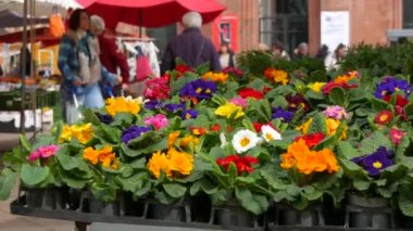 Kehl, Almanya - 31 Mart 2023: Pazar meydanında tipik Alman pazarı. Alıcılar sıraların arasında yürürler ve çiçek açan güzel çiçeklerin arka planına karşı malları seçerler..