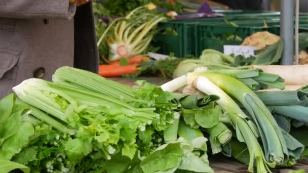 露天市场 买家和卖家在各种蔬菜 茎的背景下 生态素食 — 图库视频影像