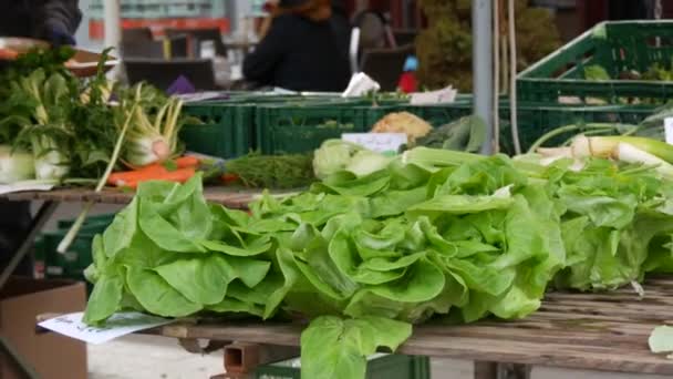 Open Air Market Buyers Sellers Background Various Greens Salads Roots — Stock Video