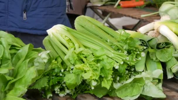 露天市场 买家和卖家在各种蔬菜 茎的背景下 生态素食 — 图库视频影像