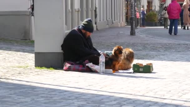 德国康斯坦茨 2023年4月9日 一个贫穷的无家可归的乞丐 带着两只狗乞讨救济 人们路过这里 — 图库视频影像