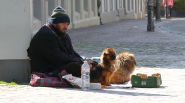 Konstanz, Almanya - 9 Nisan 2023: İki köpeği olan fakir evsiz bir dilenci, insanlar geçiyor.