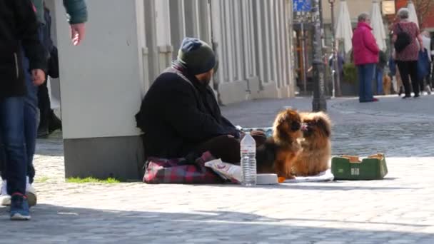Konstanz Németország 2023 Április Egy Szegény Hajléktalan Koldus Két Kutyával — Stock videók