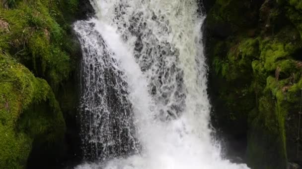德国黑森林 杰洛索瀑布 美丽壮观的风景如画 清澈的水流以奔腾的电流缓慢地流下来 — 图库视频影像