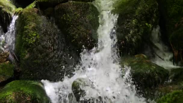 Krásný Rychle Čistý Živý Proud Horského Potoka Padajícího Zpomalený Kámen — Stock video