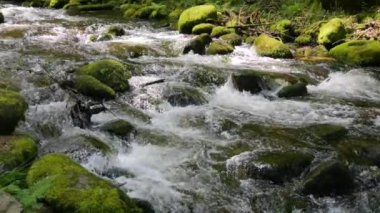Kara Orman dağlarının inanılmaz bir manzarası var. Küçük dağ nehri taşların arasından akar yeşil yosunlarla kaplı taşların arasından ağır çekimde..