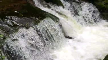 Yavaş çekimde güzel, temiz bir dağ nehri. Bir dağ deresinin gücü ve güzelliği.