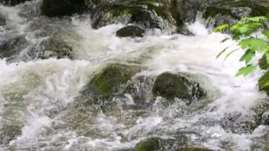 Yavaş çekimde güzel, temiz bir dağ nehri. Bir dağ deresinin gücü ve güzelliği.