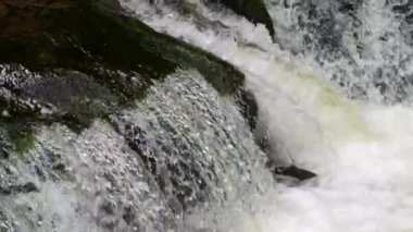 Yavaş çekimde güzel, temiz bir dağ nehri. Bir dağ deresinin gücü ve güzelliği.