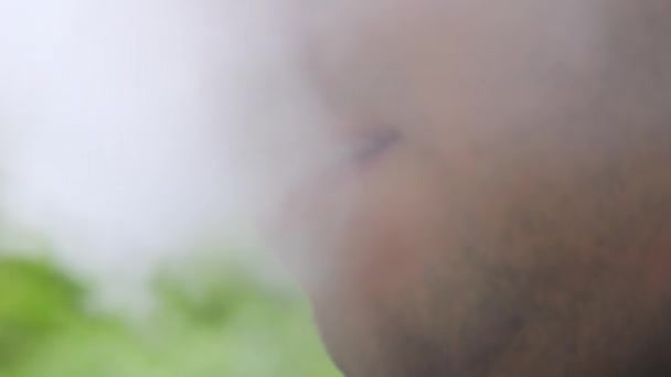 Uomo Adulto Accende Una Sigaretta Elettronica Natura Vapore Fumo Rallentatore — Video Stock