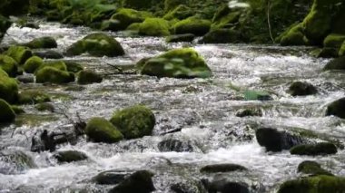 Kara Orman dağlarının inanılmaz bir manzarası var. Küçük dağ nehri taşların arasından akar yeşil yosunlarla kaplı taşların arasından ağır çekimde..