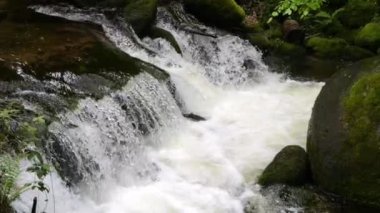 Yavaş çekimde güzel, temiz bir dağ nehri. Bir dağ deresinin gücü ve güzelliği.