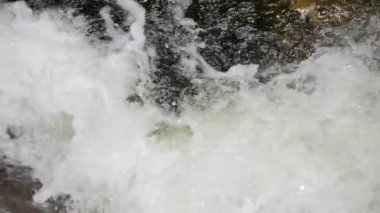 Yavaş çekimde güzel, temiz bir dağ nehri. Bir dağ deresinin gücü ve güzelliği.