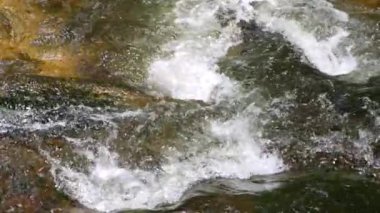 Yavaş çekimde güzel, temiz bir dağ nehri. Bir dağ deresinin gücü ve güzelliği.